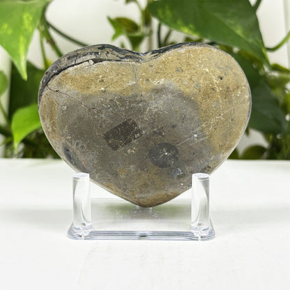 Natural Black Amethyst Crystal Geode  - Gem Avenue