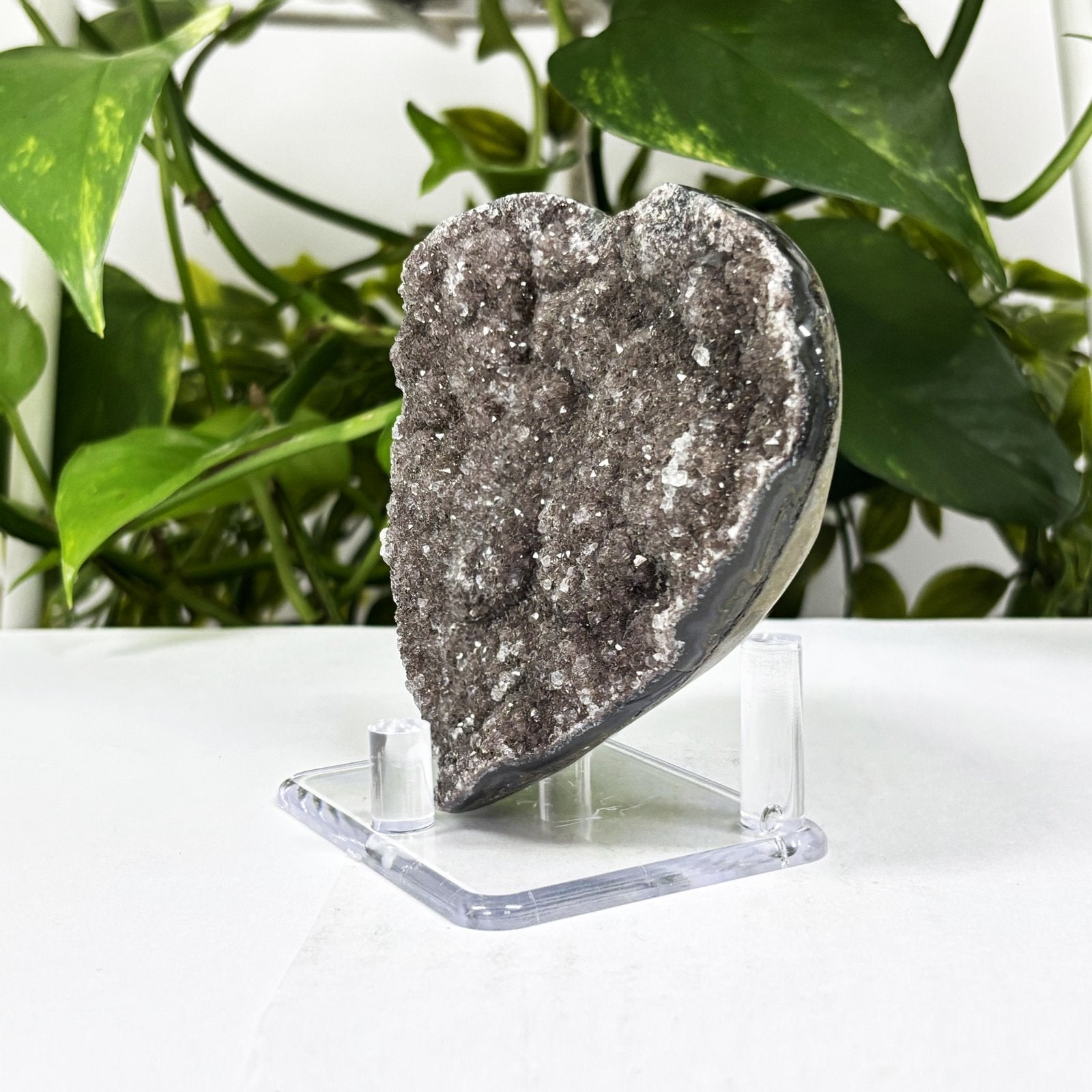 Natural Black Amethyst Crystal Geode  - Gem Avenue
