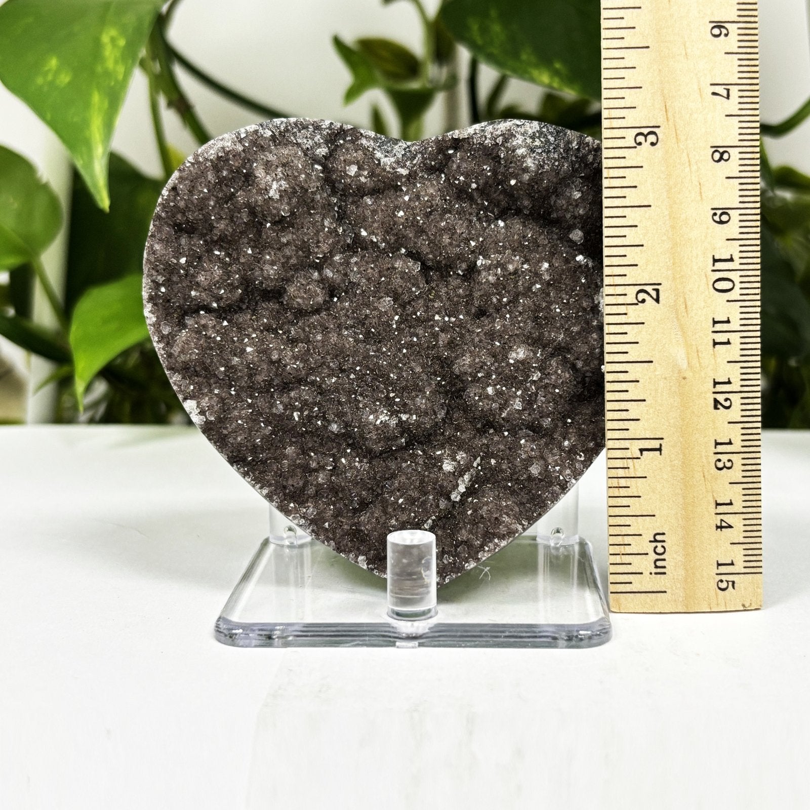 Natural Black Amethyst Crystal Geode  - Gem Avenue
