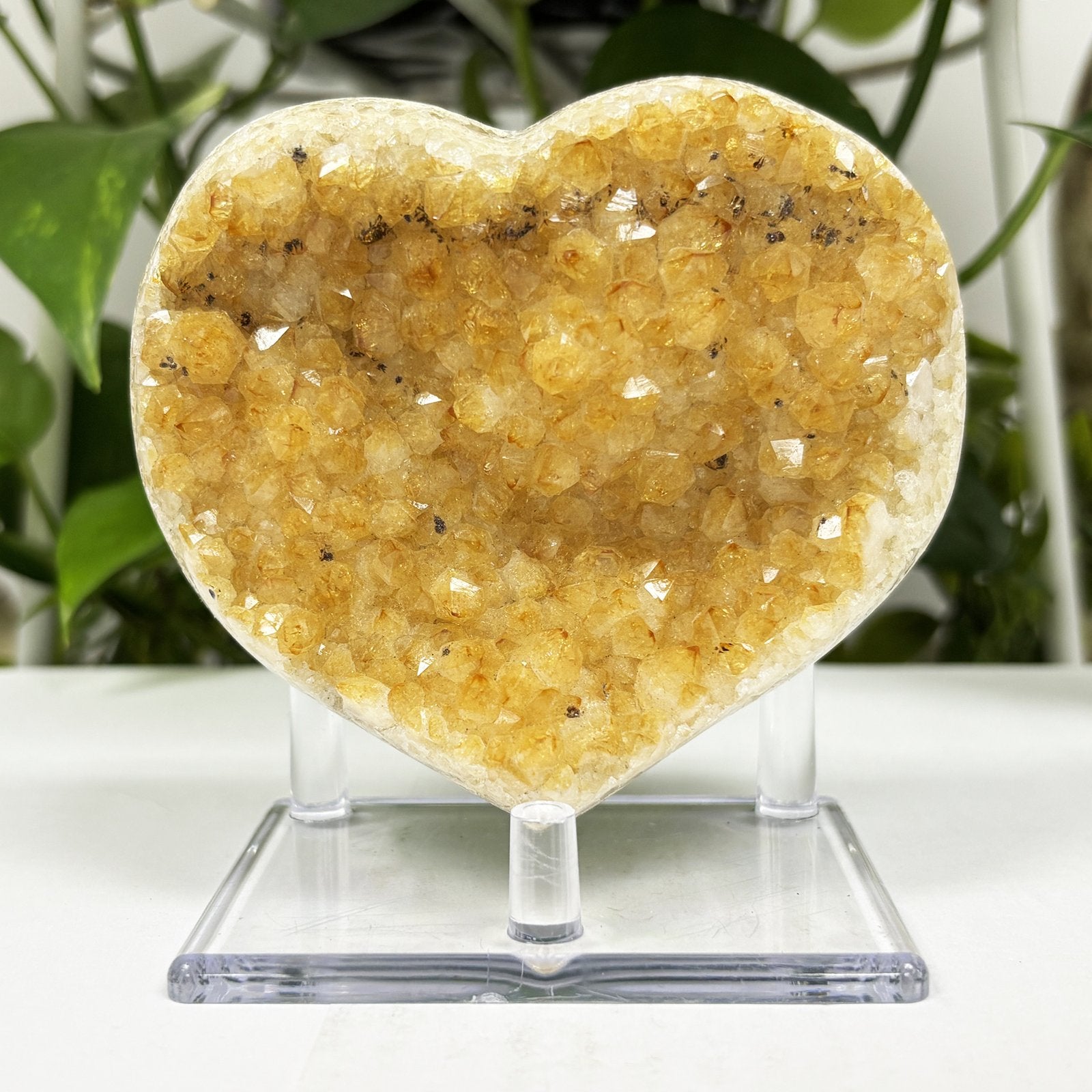 Natural Citrine Crystal Geode - Gem Avenue