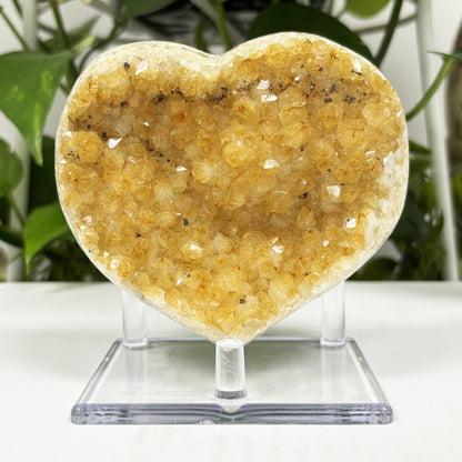 Natural Citrine Crystal Geode - Gem Avenue