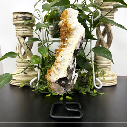 Natural Citrine Crystal Cluster Geode - Gem Avenue