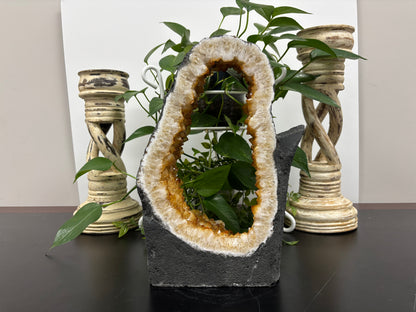Natural Yellow Citrine Crystal Cluster Geode - Gem Avenue
