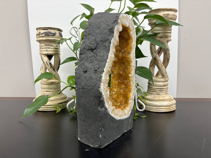 Natural Yellow Citrine Crystal Cluster Geode - Gem Avenue