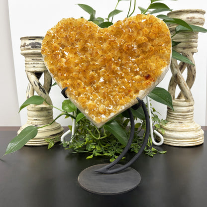 Natural Yellow Citrine Crystal Cluster Geode 16 inches