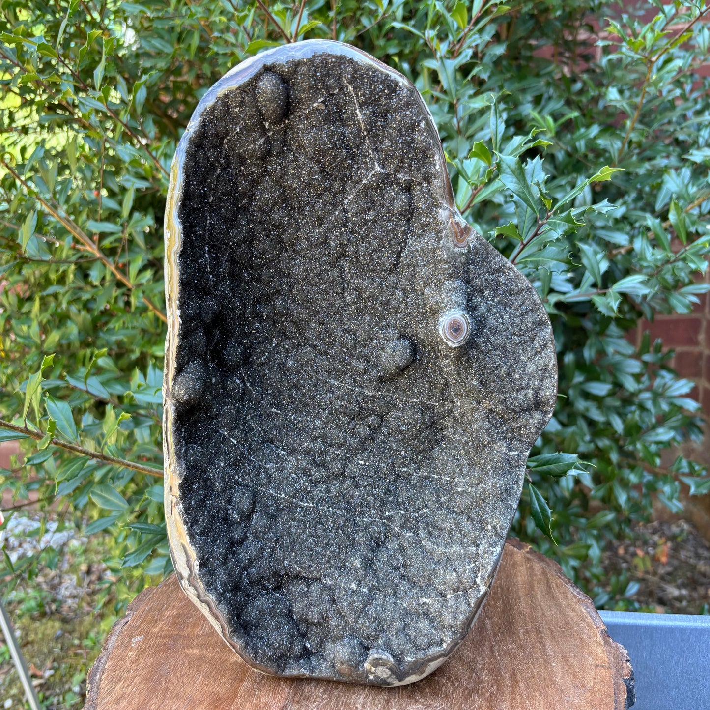 Natural Black Galaxy Amethyst Crystal Geode on Stand for Energy, Meditation, Healing & Home Decor - RGD836