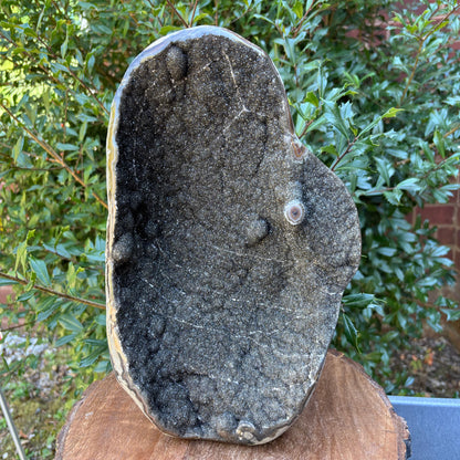 Natural Black Galaxy Amethyst Crystal Geode on Stand for Energy, Meditation, Healing & Home Decor - RGD836