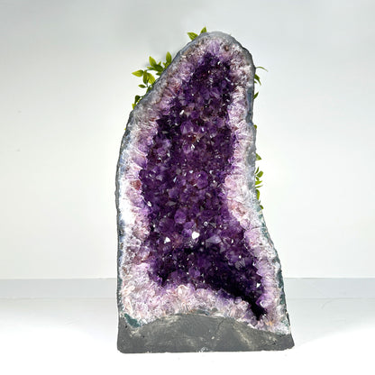 Natural Deep Purple Amethyst Cathedral Gemstone Crystal Geode - Gem Avenue