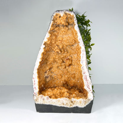 Natural Cathedral Yellow Citrine Crystal Geode - Gem Avenue