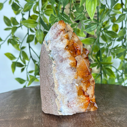 Natural Yellow Citrine Heated Cluster Crystal Gemstone Geode - Gem Avenue