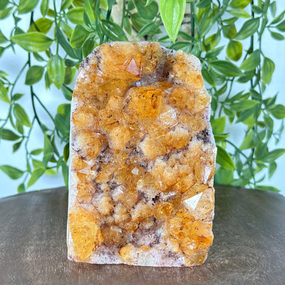 Natural Yellow Citrine Heated Crystal Gemstone Geode - Gem Avenue