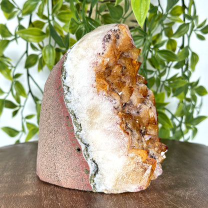 Natural Yellow Citrine Heated Crystal Gemstone Geode - Gem Avenue