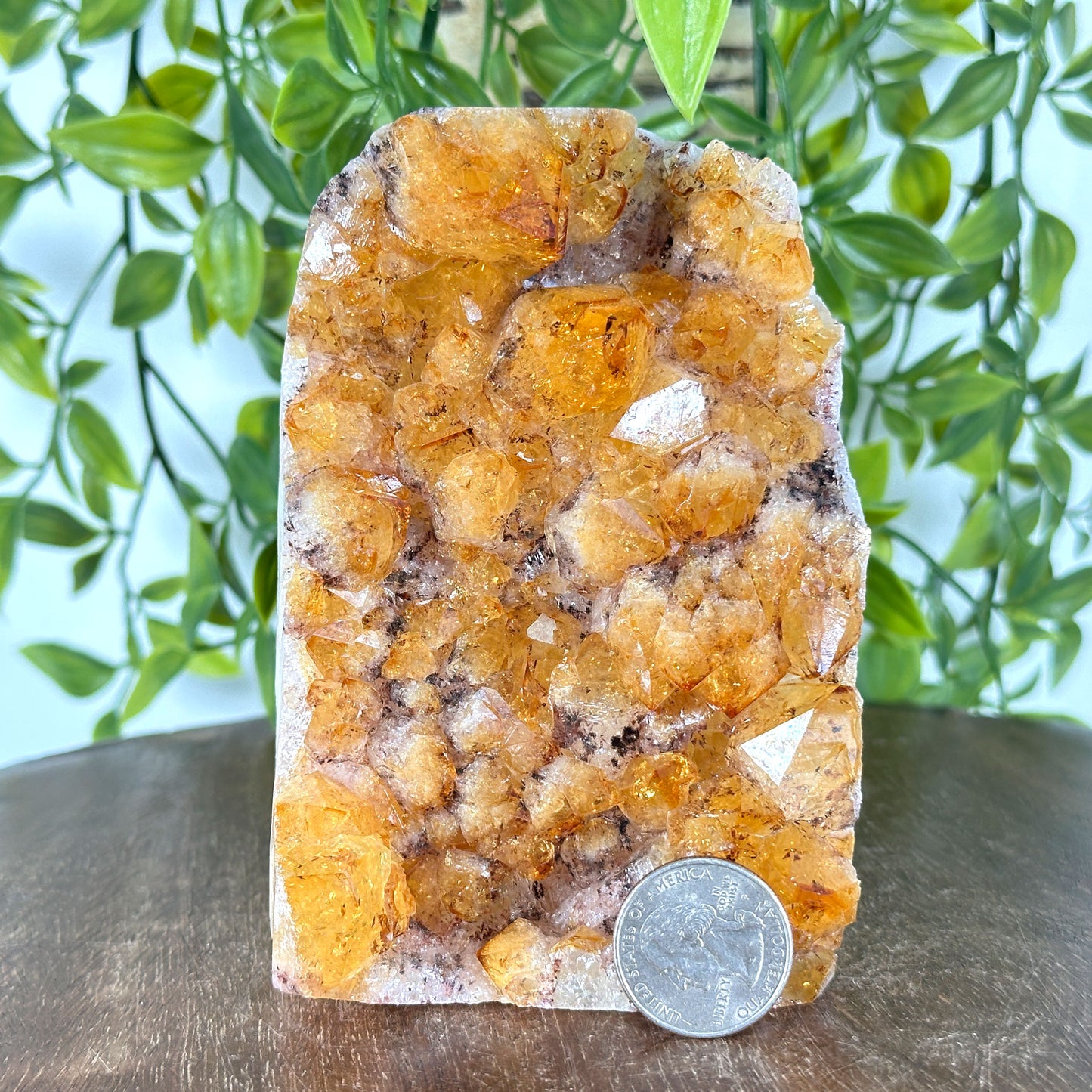 Natural Yellow Citrine Heated Crystal Gemstone Geode - Gem Avenue
