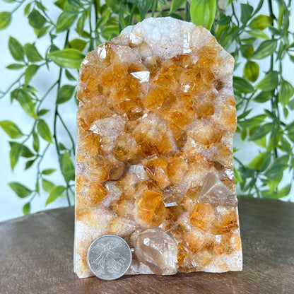 Natural Yellow Citrine Heated Calcite Crystal Geode Raw Gemstone for Decor & Collection - RGD846