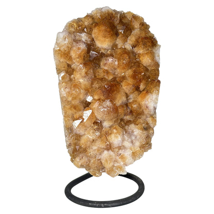 Natural Yellow Citrine Crystal Cluster Geode - Gem Avenue