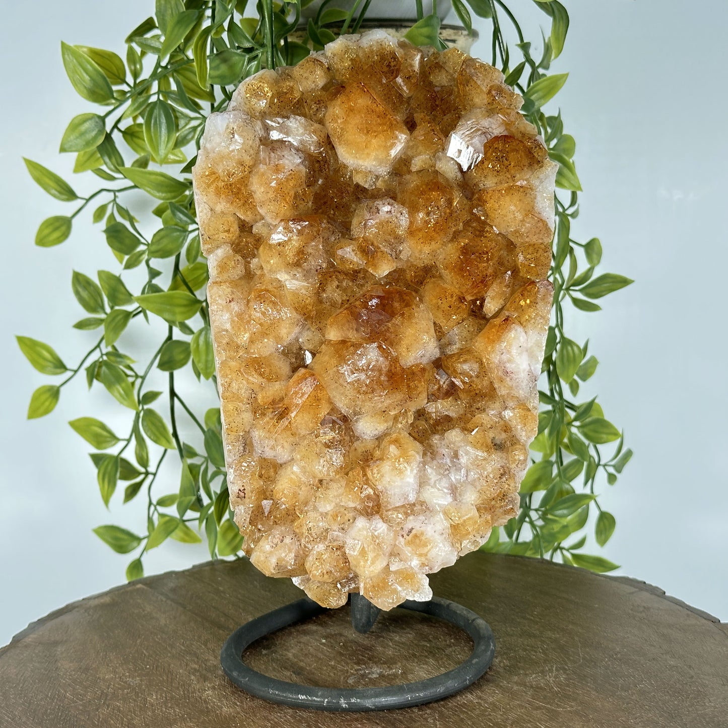 Natural Yellow Citrine Crystal Cluster Geode - Gem Avenue