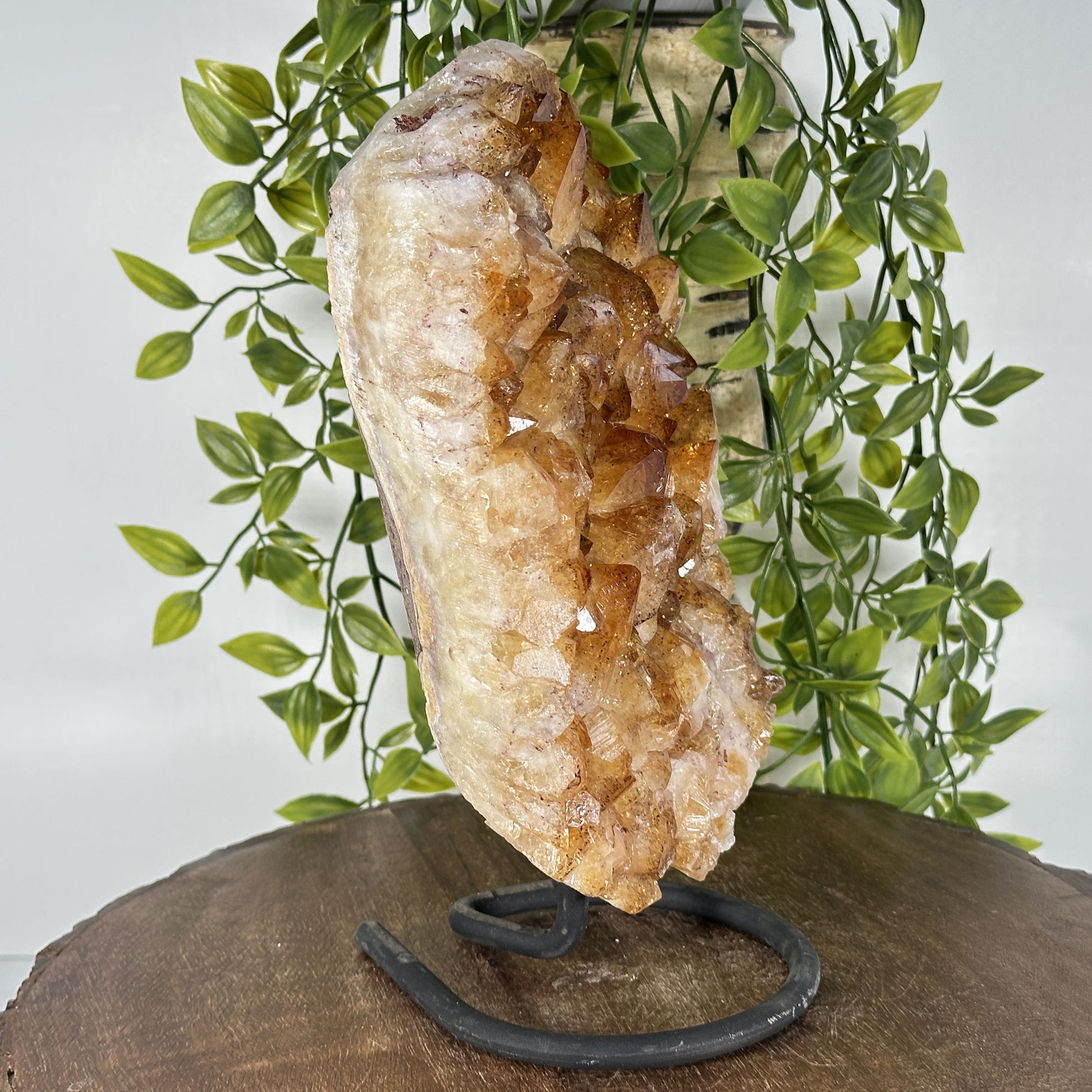 Natural Yellow Citrine Crystal Cluster Geode - Gem Avenue