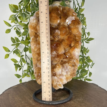 Natural Yellow Citrine Crystal Cluster Geode - Gem Avenue