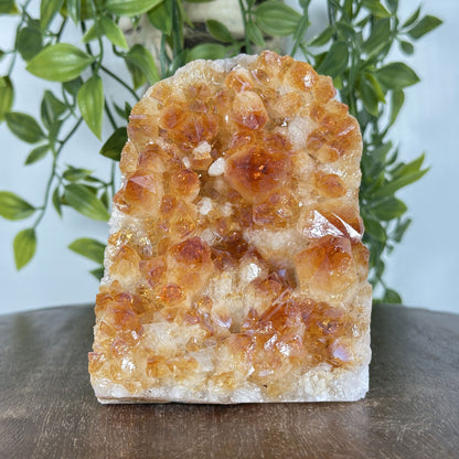 Natural Yellow Citrine Heated Crystal Cluster Geode - Gem Avenue