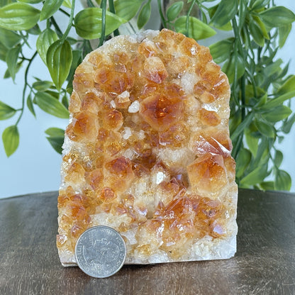 Natural Yellow Citrine Heated Crystal Cluster Geode - Gem Avenue