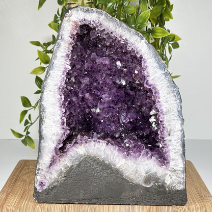 Natural Purple Amethyst Cathedral Geode - Gem Avenue
