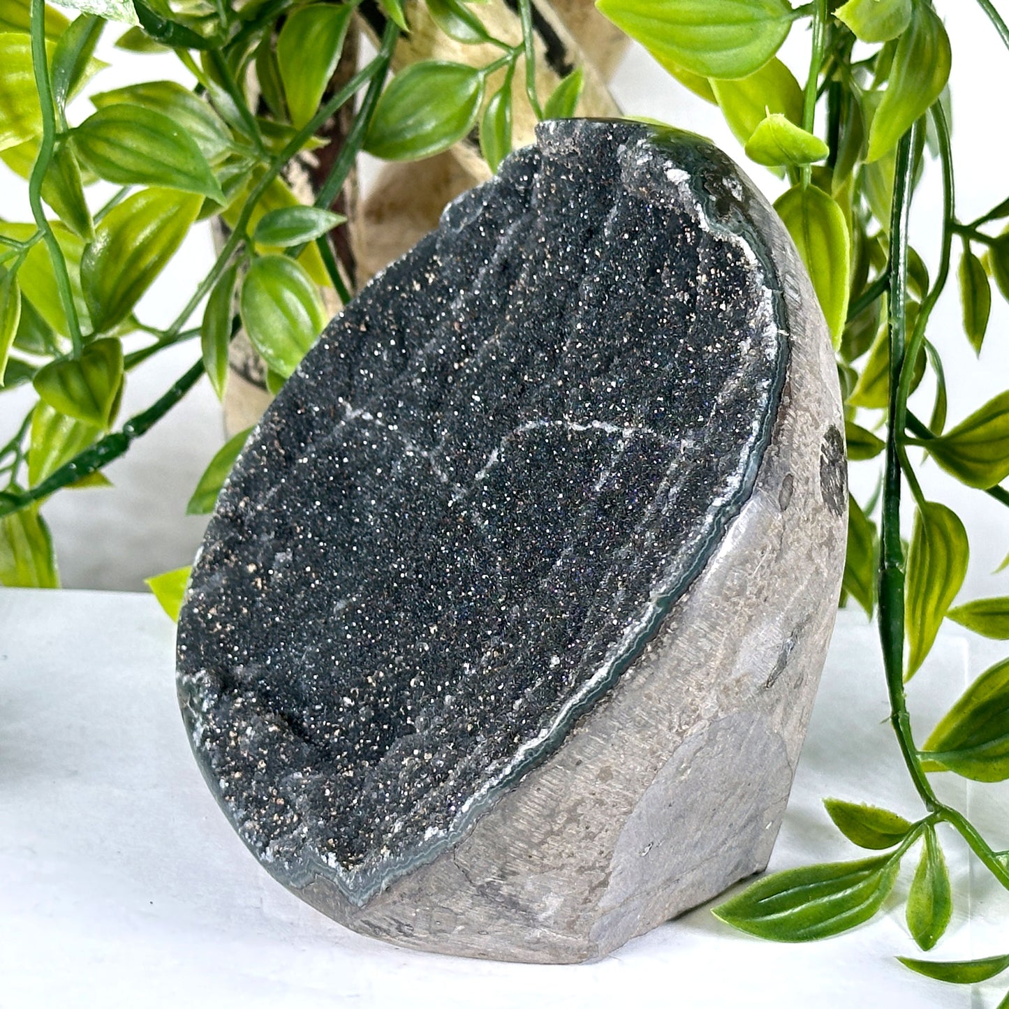 Natural Black Amethyst Druzy Crystal Geode - Gem Avenue
