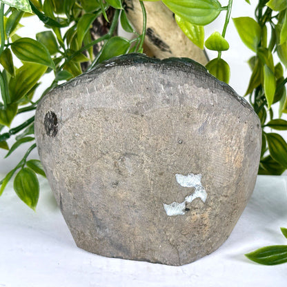 Natural Black Amethyst Druzy Crystal Geode - Gem Avenue