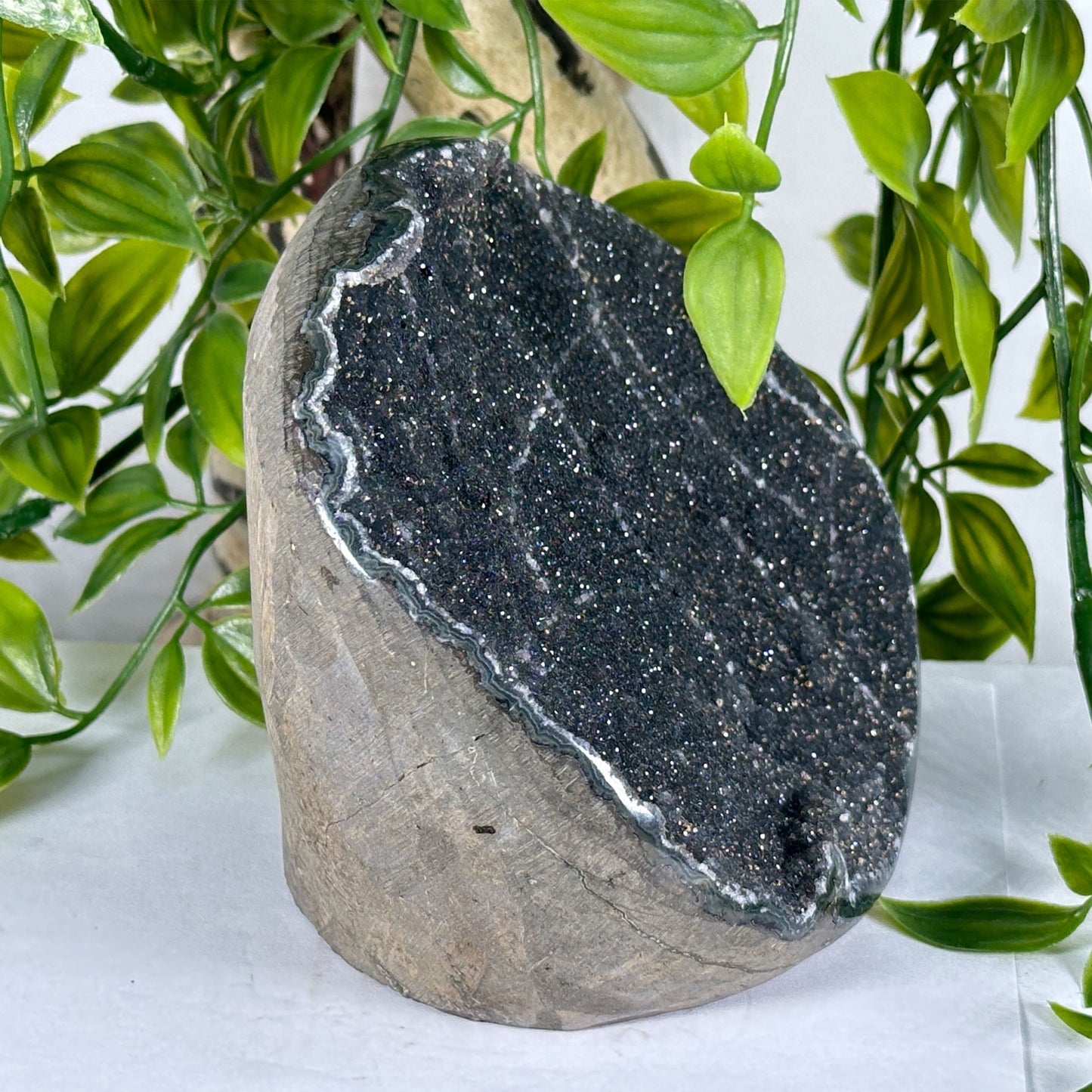 Natural Black Amethyst Druzy Crystal Geode - Gem Avenue