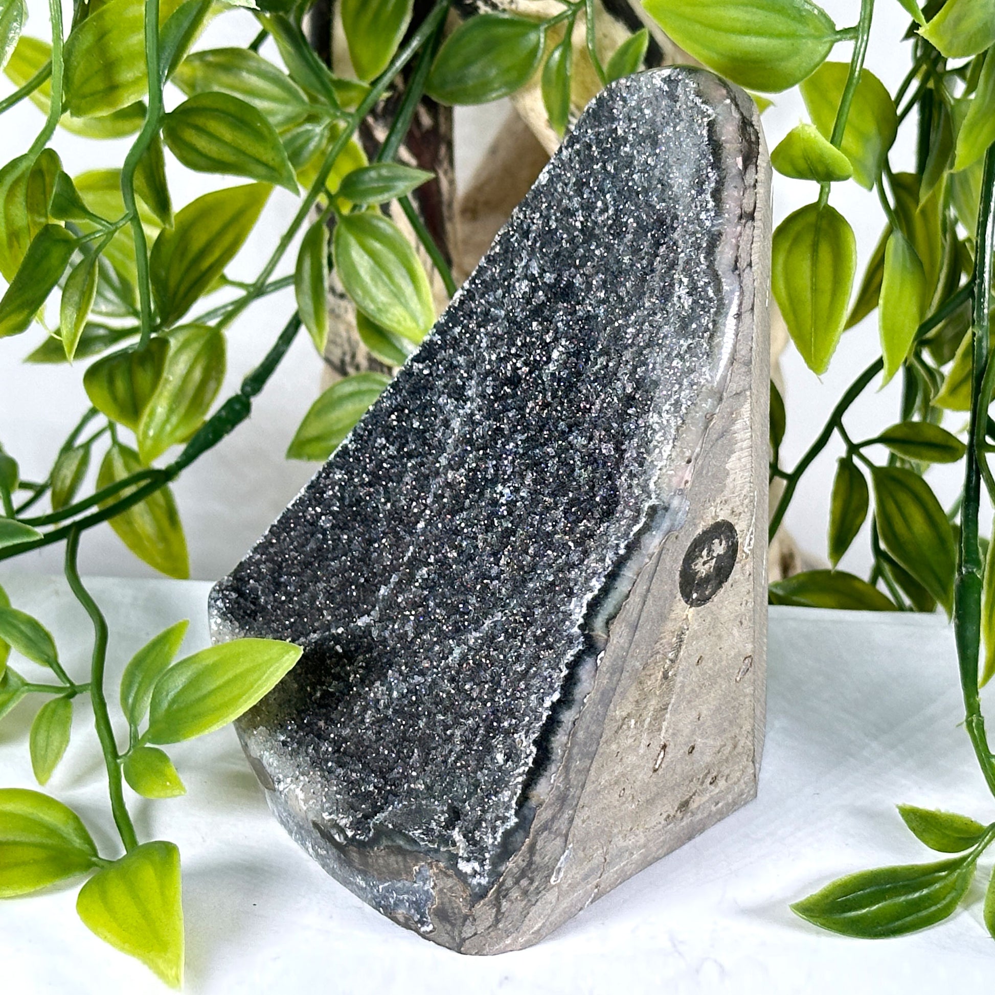 Natural Black Amethyst Druzy Geode - Gem Avenue