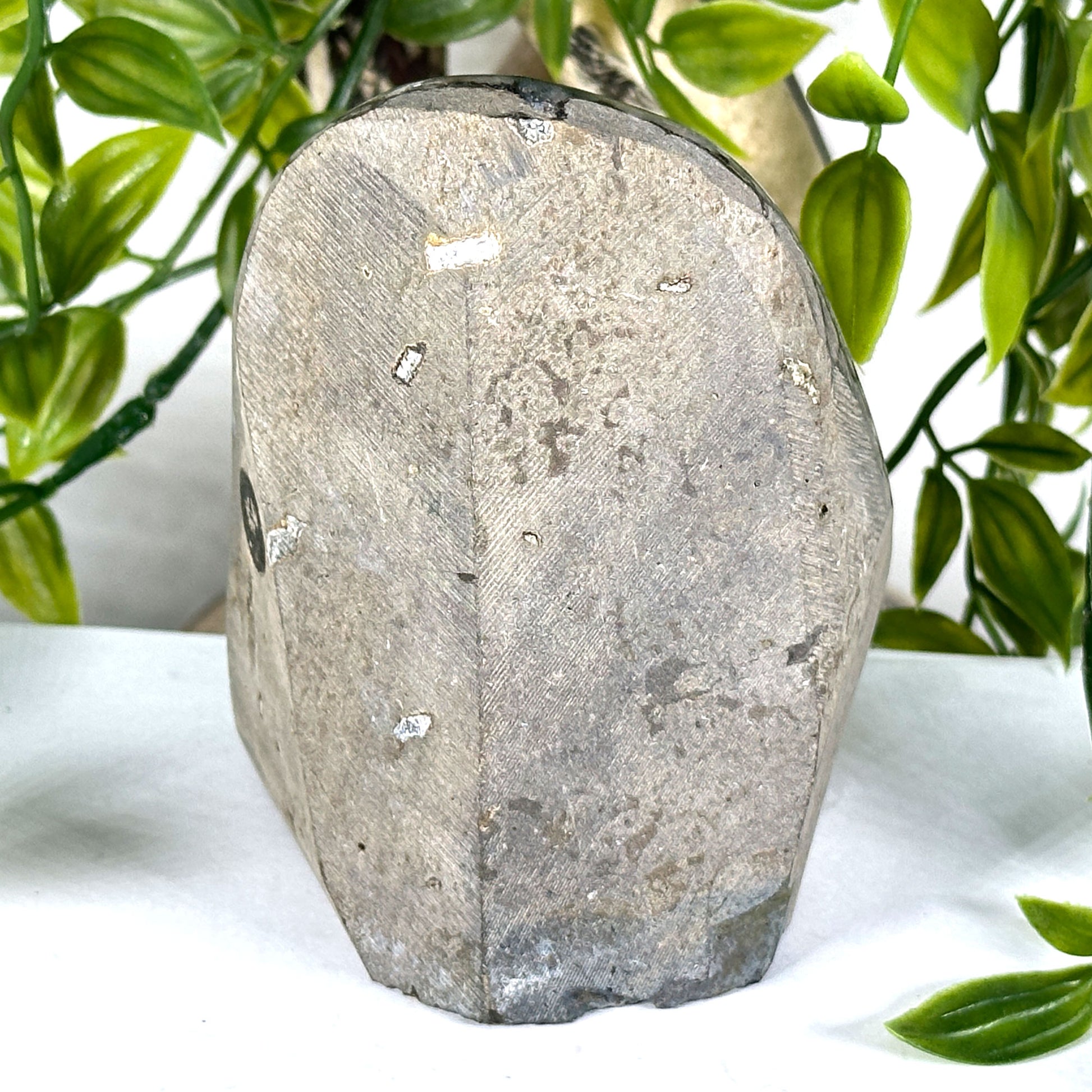 Natural Black Amethyst Druzy Geode - Gem Avenue