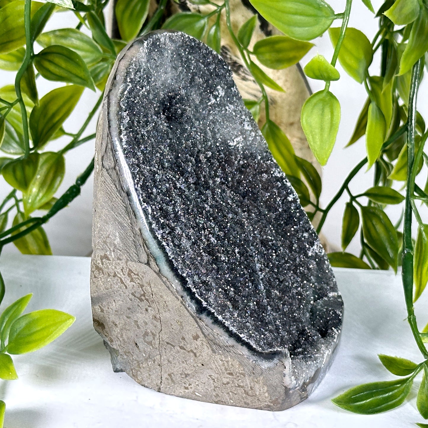 Natural Black Amethyst Druzy Geode - Gem Avenue