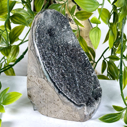 Natural Black Amethyst Druzy Geode - Gem Avenue