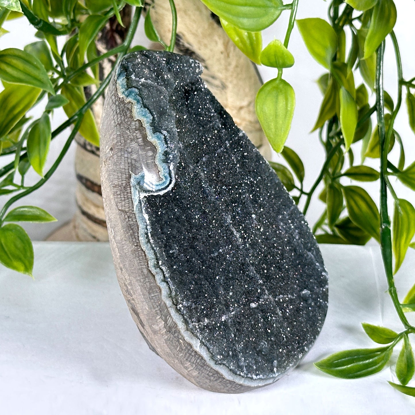 Natural Black Amethyst Geode - Gem Avenue