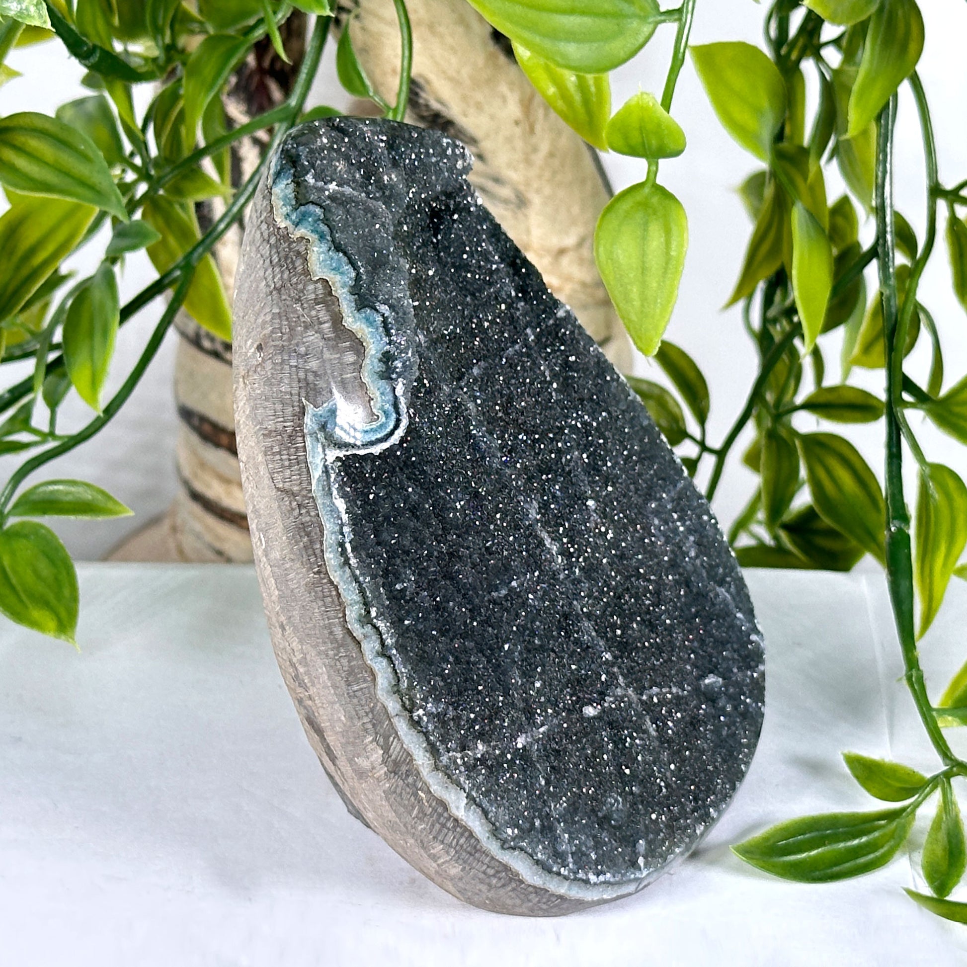 Natural Black Amethyst Geode - Gem Avenue