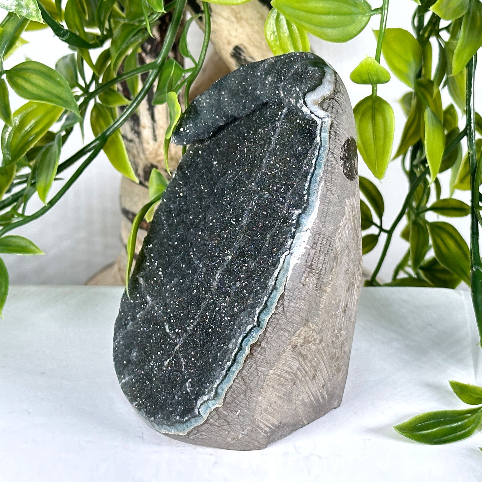 Natural Black Amethyst Geode - Gem Avenue