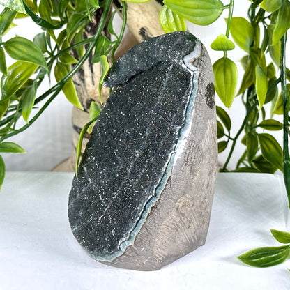 Natural Black Amethyst Geode - Gem Avenue