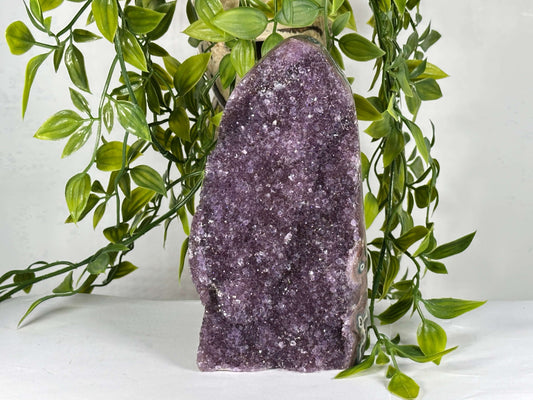 Natural Brazilian Amethyst Druzy Polished Purple Crystal Geode Display Stone - RGD866