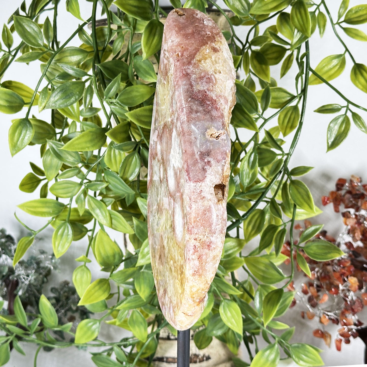 Natural Pink Amethyst Geode 10.5" from Brazil Crystal Specimen for Collection