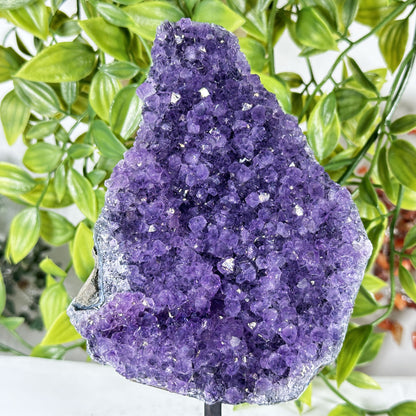 Deep Purple Amethyst Crystal Geode -  Gem Avenue Retail