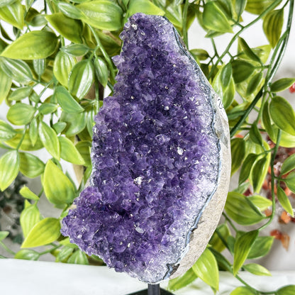 Deep Purple Amethyst Crystal Geode -  Gem Avenue Retail