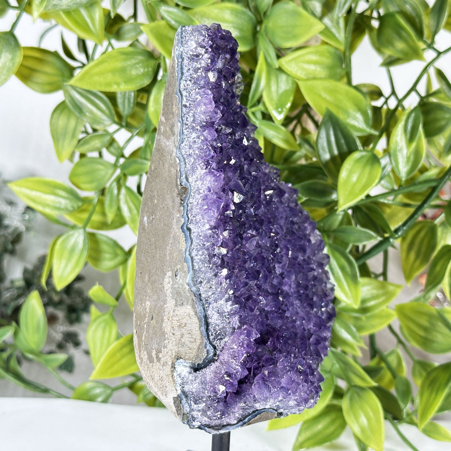 Deep Purple Amethyst Crystal Geode -  Gem Avenue Retail