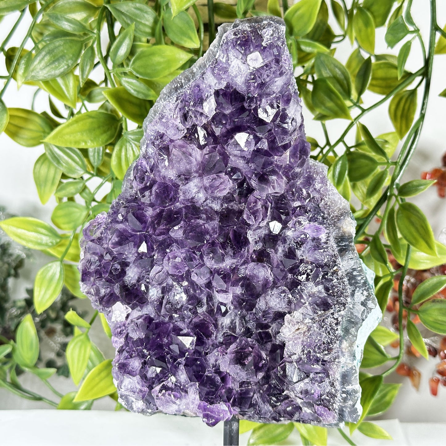 Deep Purple Amethyst Crystal Geode - Gem Avenue Retail