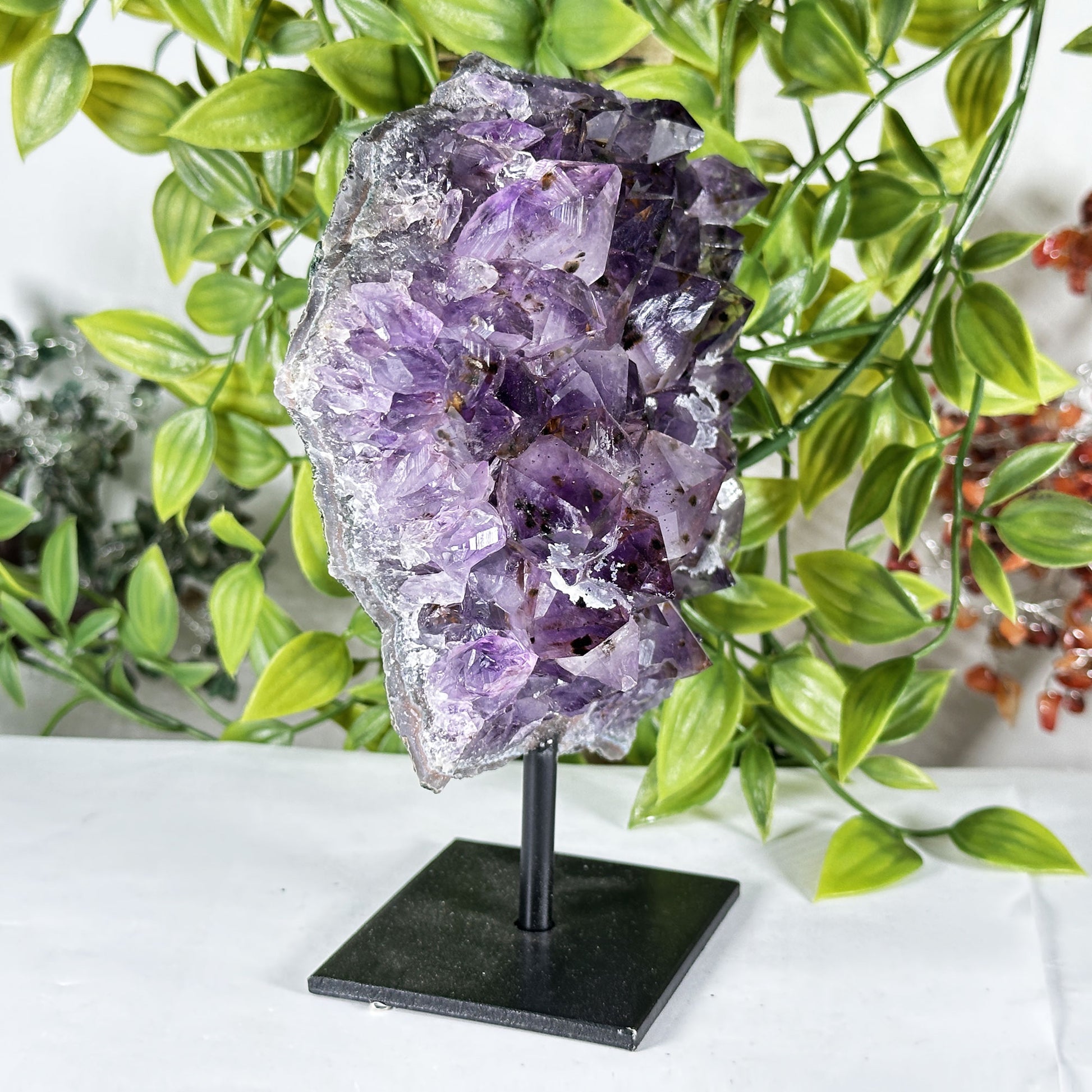 Natural Amethyst Crystal Geode - Gem Avenue Retail