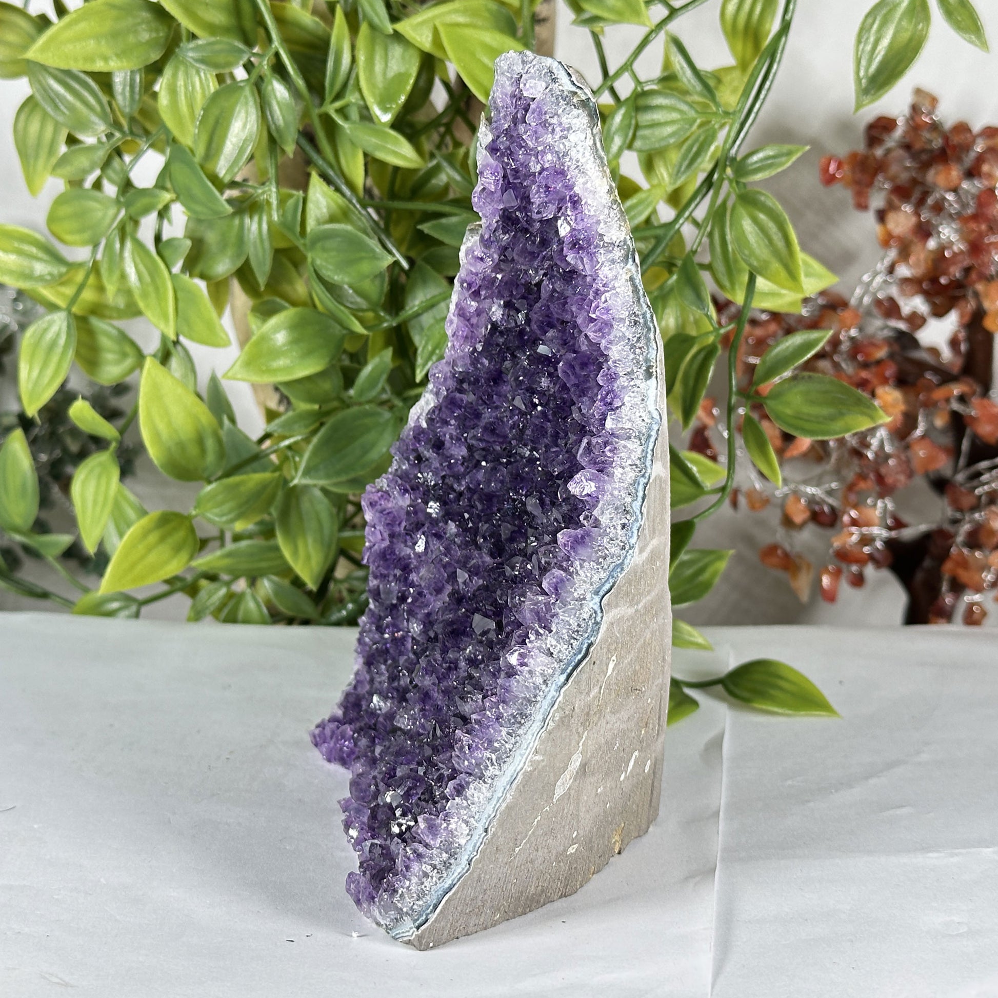 Natural Purple Amethyst Crystal Geode - Gem Avenue