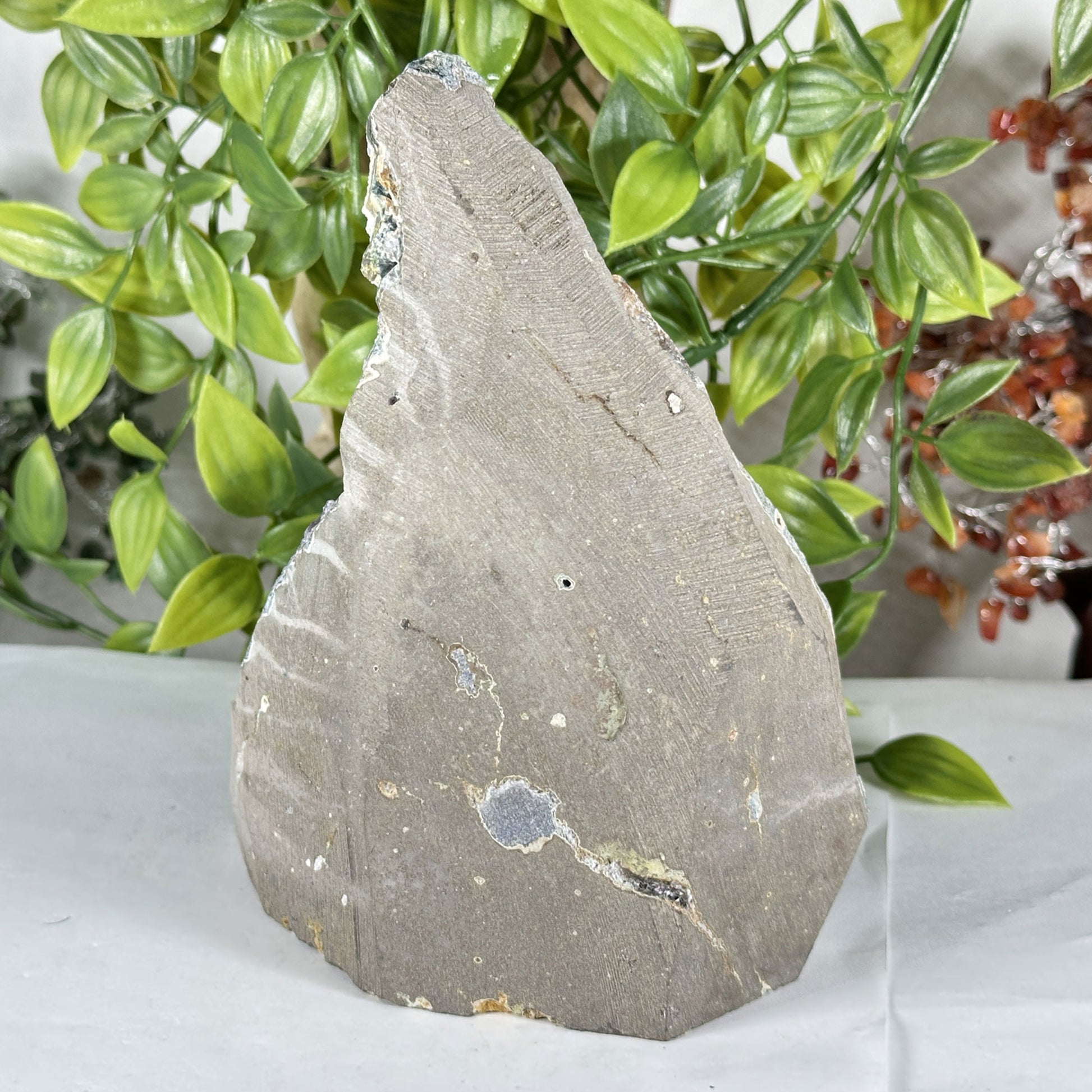 Natural Purple Amethyst Crystal Geode - Gem Avenue