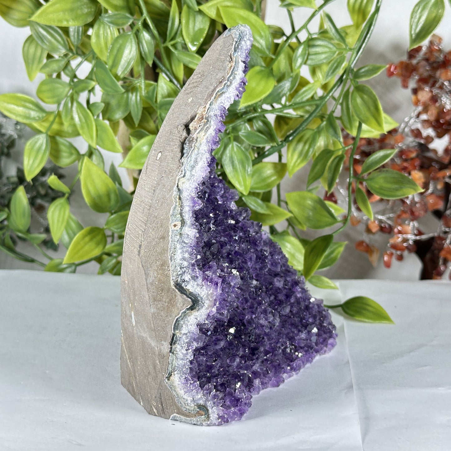 Natural Purple Amethyst Crystal Geode - Gem Avenue