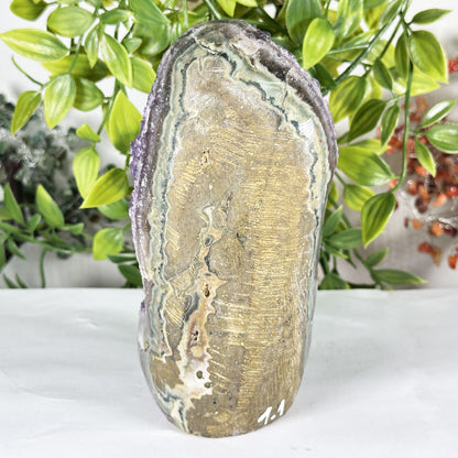 Natural Purple Amethyst Crystal Geode - Gem Avenue Retail
