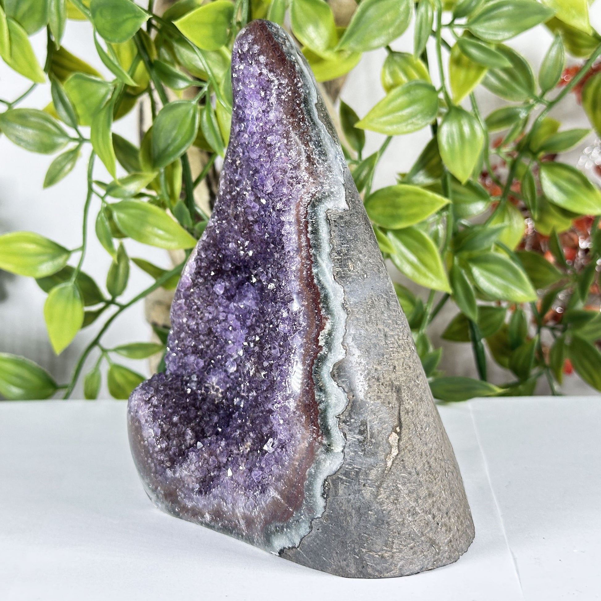 Amethyst Crystal Geode - Gem Avenue Retail
