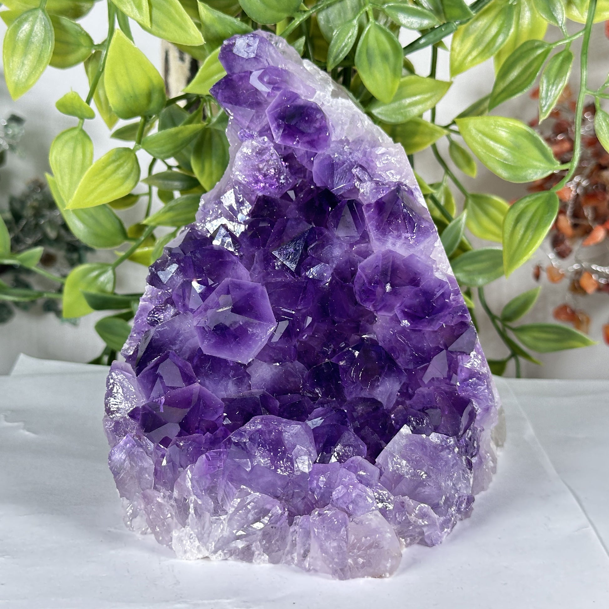 Natural Deep Purple Amethyst Crystal Geode - Gem Avenue Retail