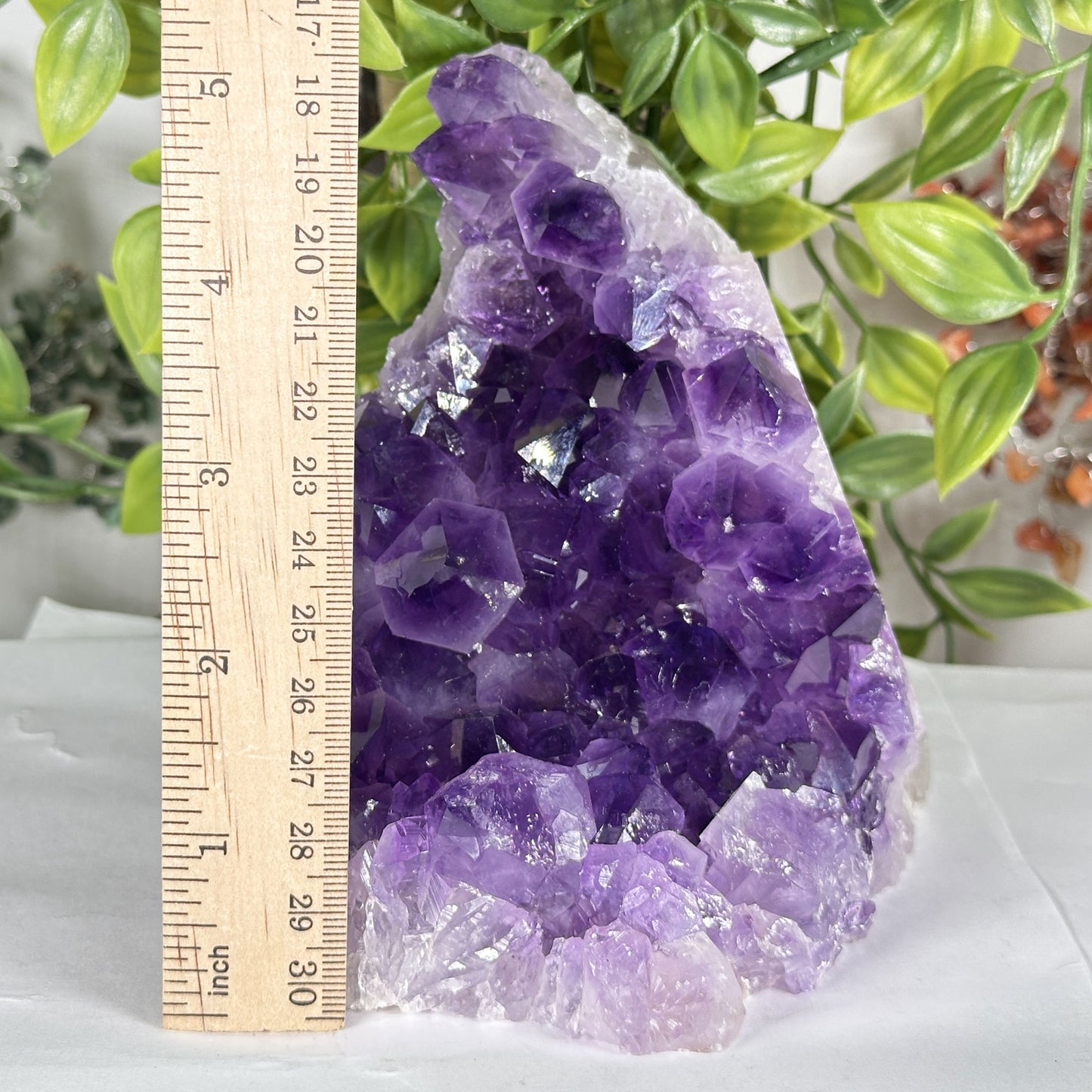 Natural Deep Purple Amethyst Crystal Geode - Gem Avenue Retail